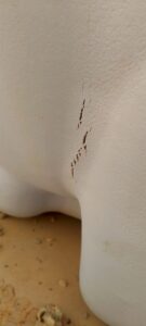 صيانة خزانات المياه 0539836031